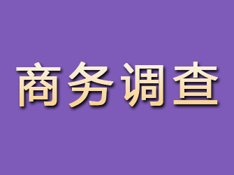 镇海商务调查